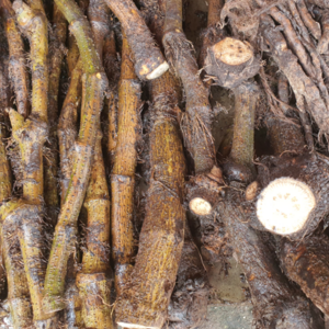 Piper Chaba (চুইঝাল) 1KG