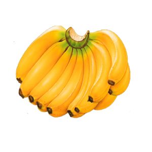 দেশি সাগর কলা