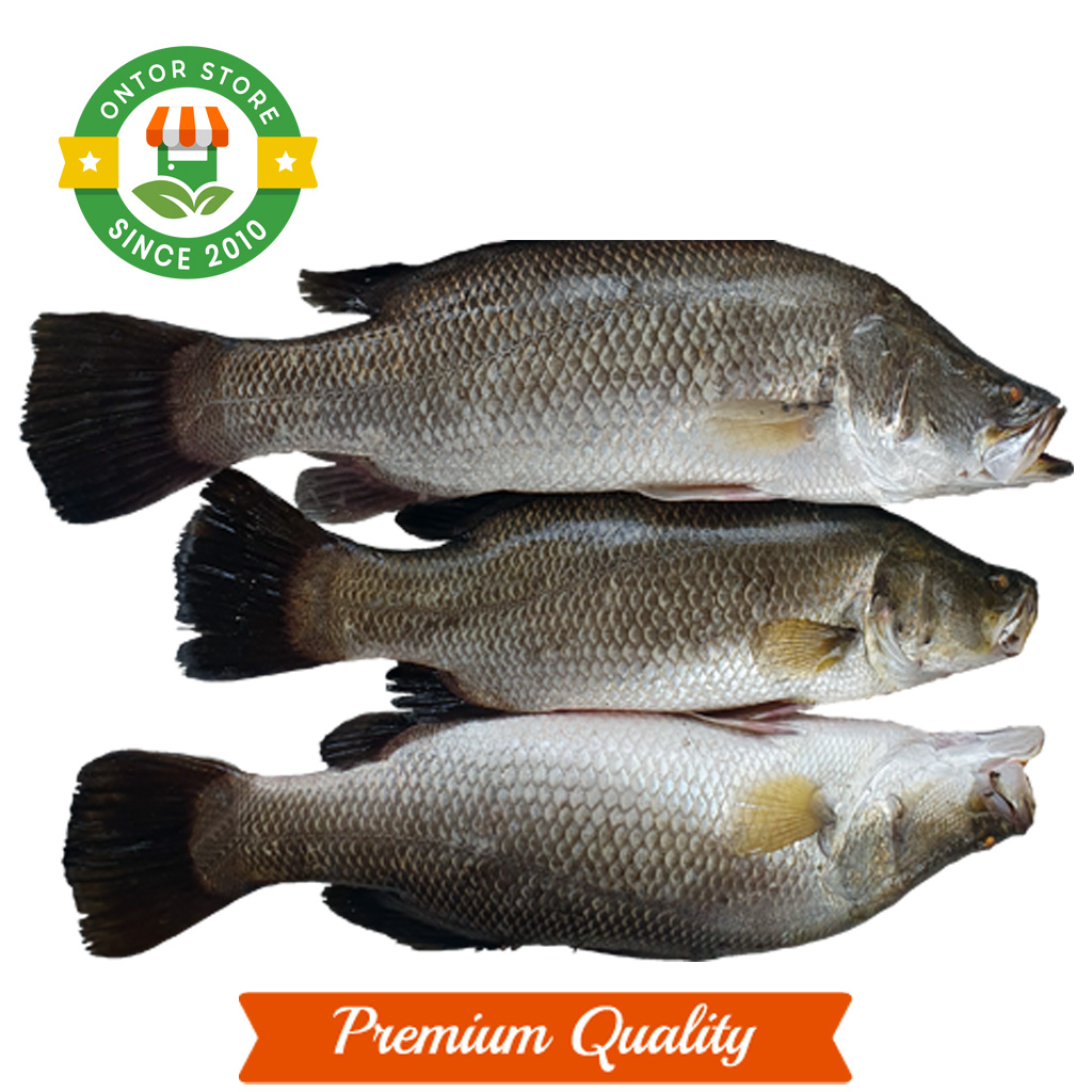 Coral Fish (কোরাল মাছ)-Per-kg