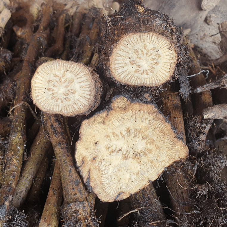Piper Chaba (চুইঝাল)-500g