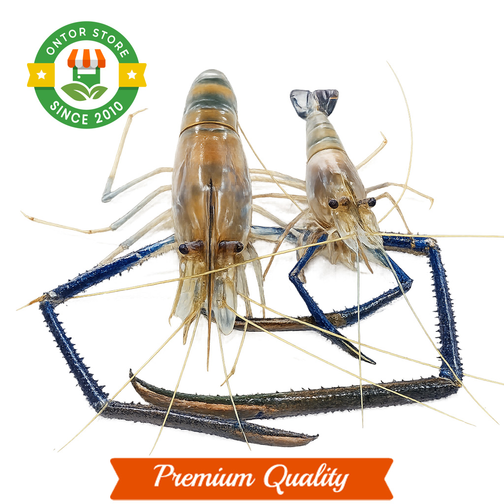 Prawn (গলদা চিংড়ি)-10pcs/1kg