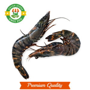 Shirimp (বাগদা চিংড়ি)-Medium-1 kg